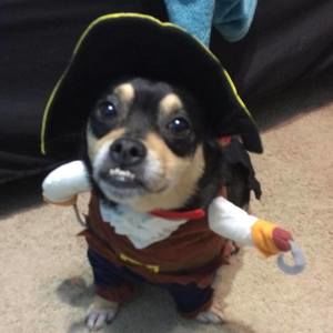 Meet your Posher, Jeanie